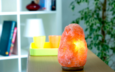 himalayan salt lamp pets